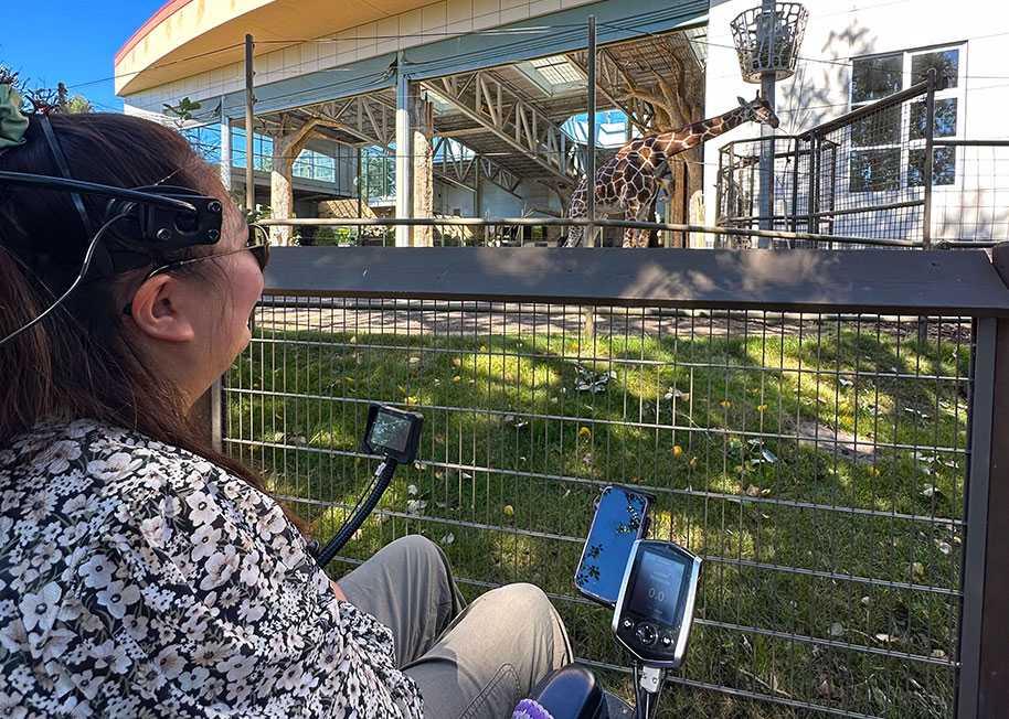 Individual in wheelchair looking at giraffe at the Calgary Zoo